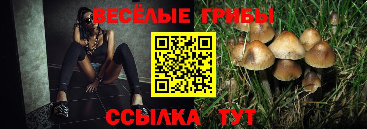 Комсомольск-на-Амуре  Галлюциногенные грибы прущие грибы  Вход с VPN  Псилоцибиновые грибы MAGIC MUSHROOMS 